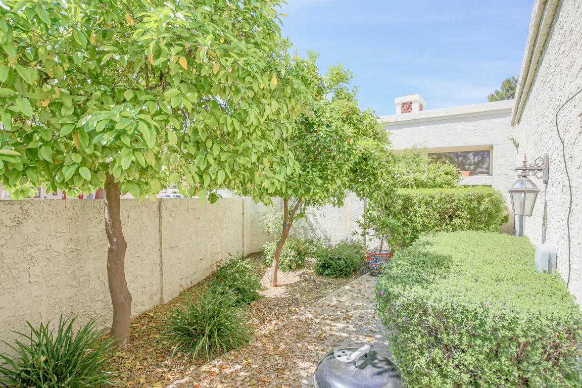 711 E Corte Oro --, Phoenix, AZ 85020 photo 34
