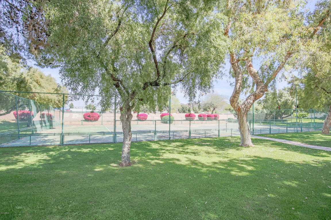 711 E Corte Oro --, Phoenix, AZ 85020 photo 37