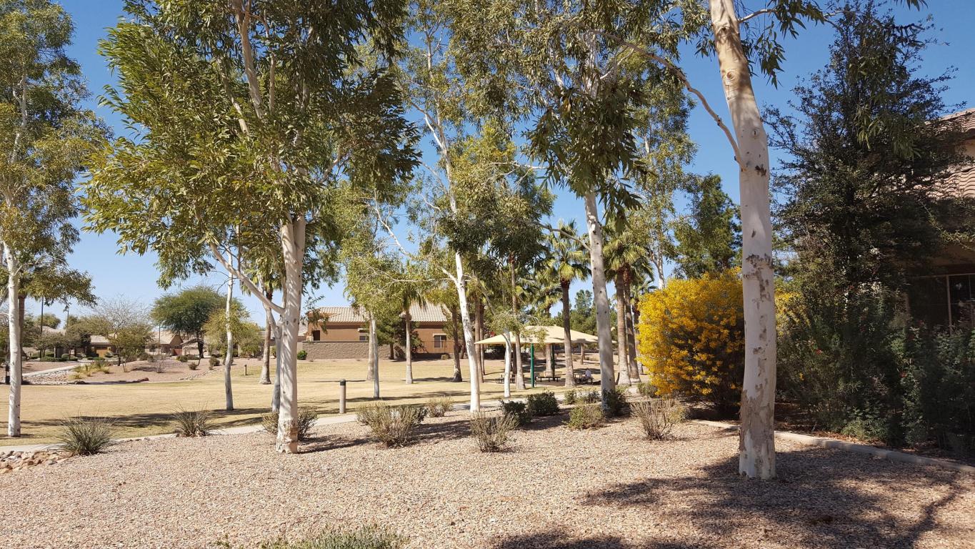 4478 E Temecula Ct, Gilbert, AZ 85297 photo 3