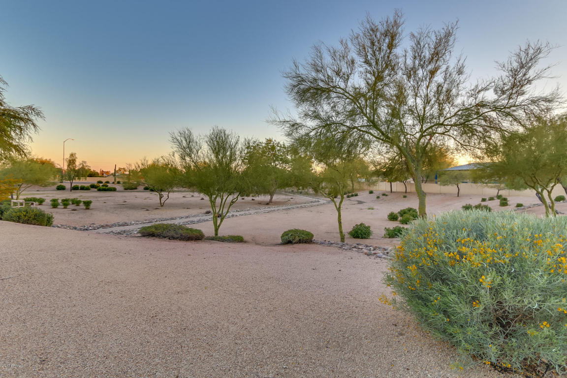 1246 N Dillon --, Mesa, AZ 85207 photo 59