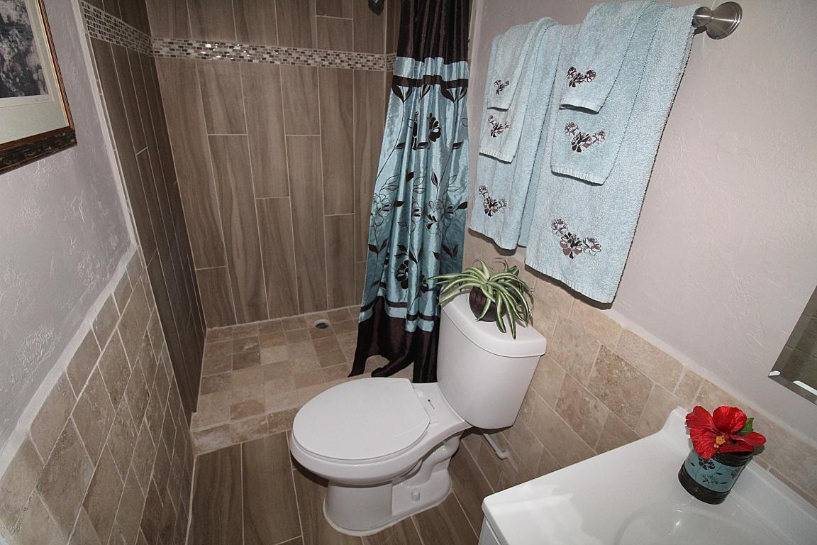 729 S Desert View Dr, Apache Junction, AZ 85120 photo 7