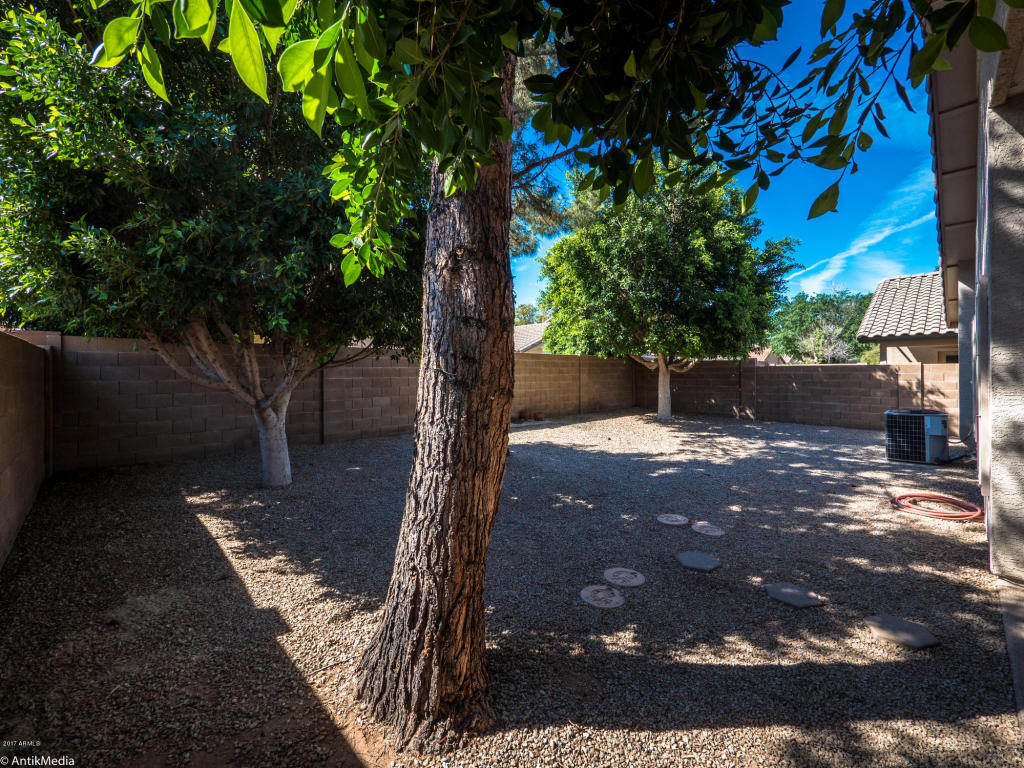 553 E Cathy Dr, Gilbert, AZ 85296 photo 29