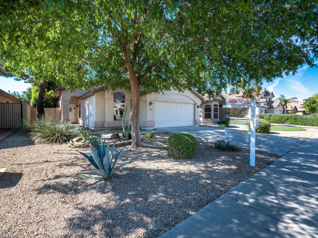 553 E Cathy Dr, Gilbert, AZ 85296 photo 2