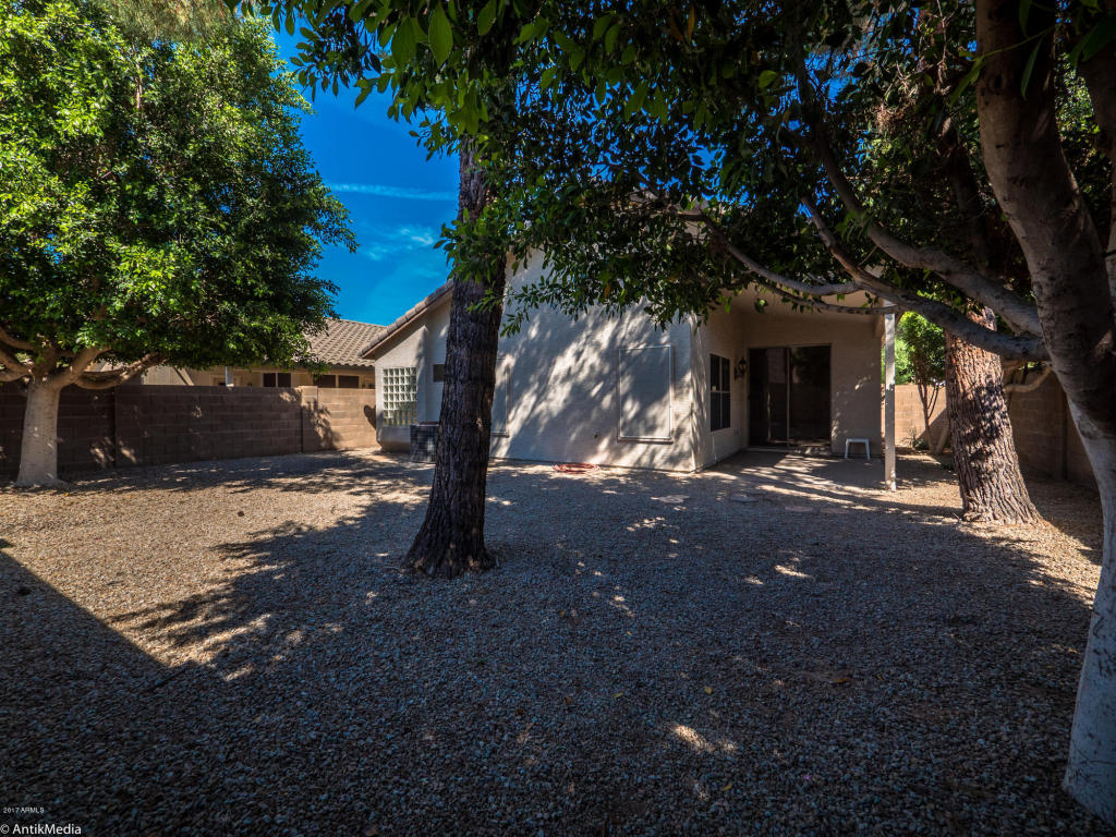 553 E Cathy Dr, Gilbert, AZ 85296 photo 28