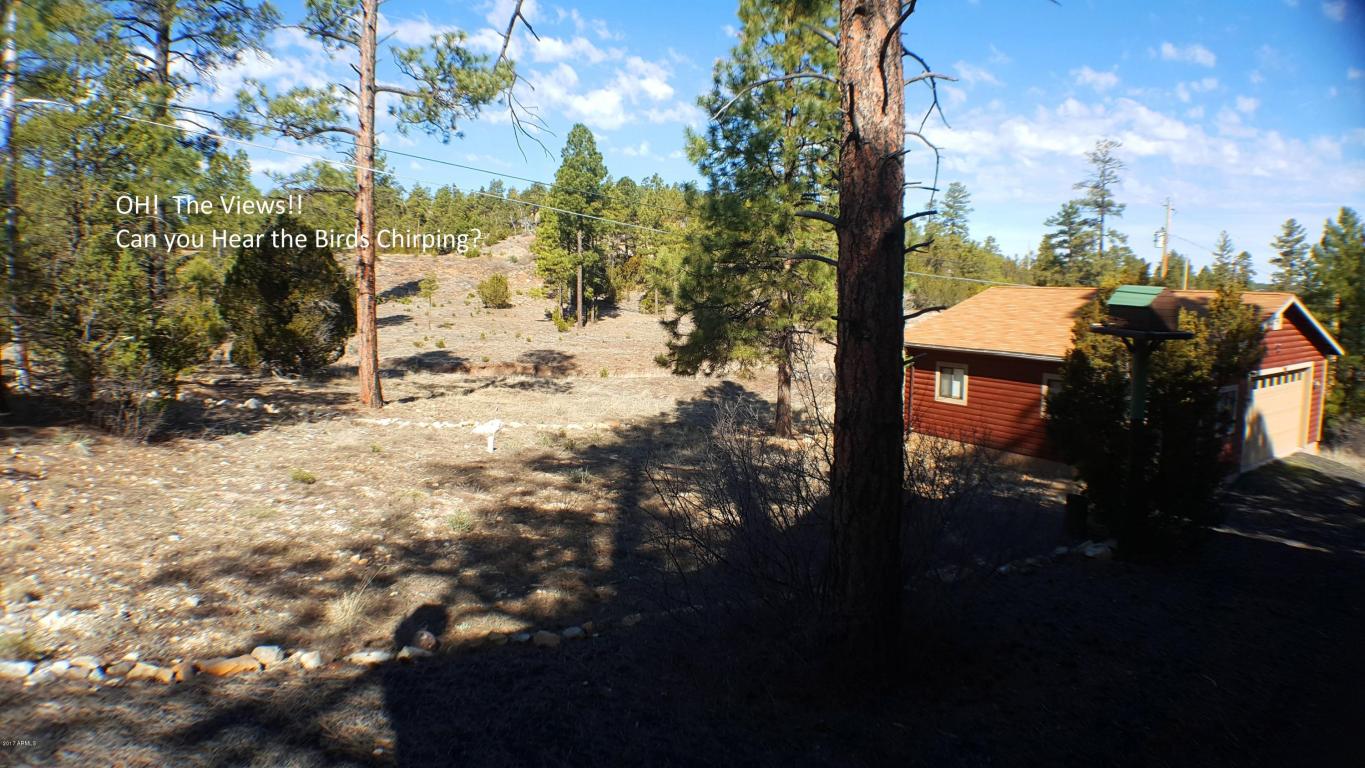 1901 Pine Dr, Overgaard, AZ 85933 photo 34