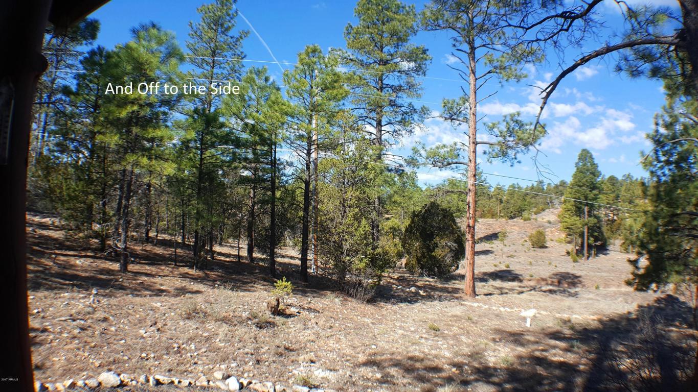 1901 Pine Dr, Overgaard, AZ 85933 photo 29