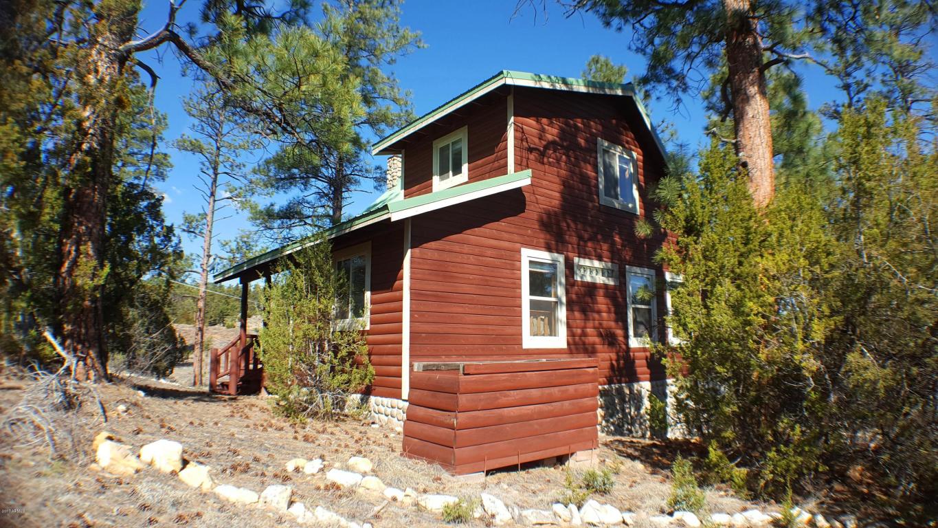 1901 Pine Dr, Overgaard, AZ 85933 photo 40
