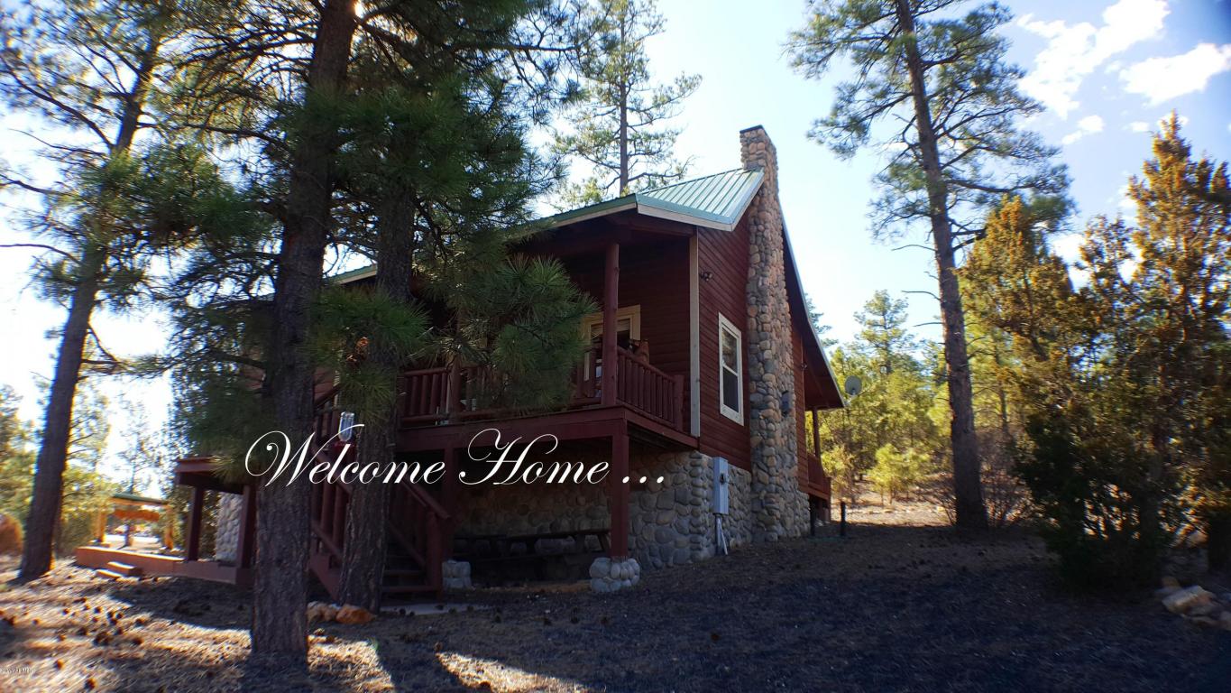1901 Pine Dr, Overgaard, AZ 85933 photo 42
