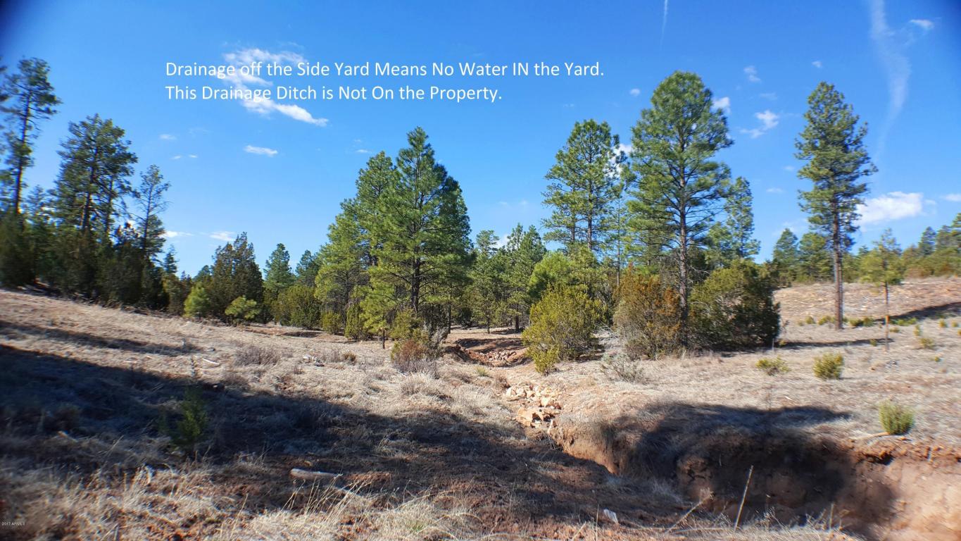 1901 Pine Dr, Overgaard, AZ 85933 photo 35