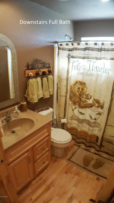 1901 Pine Dr, Overgaard, AZ 85933 photo 20