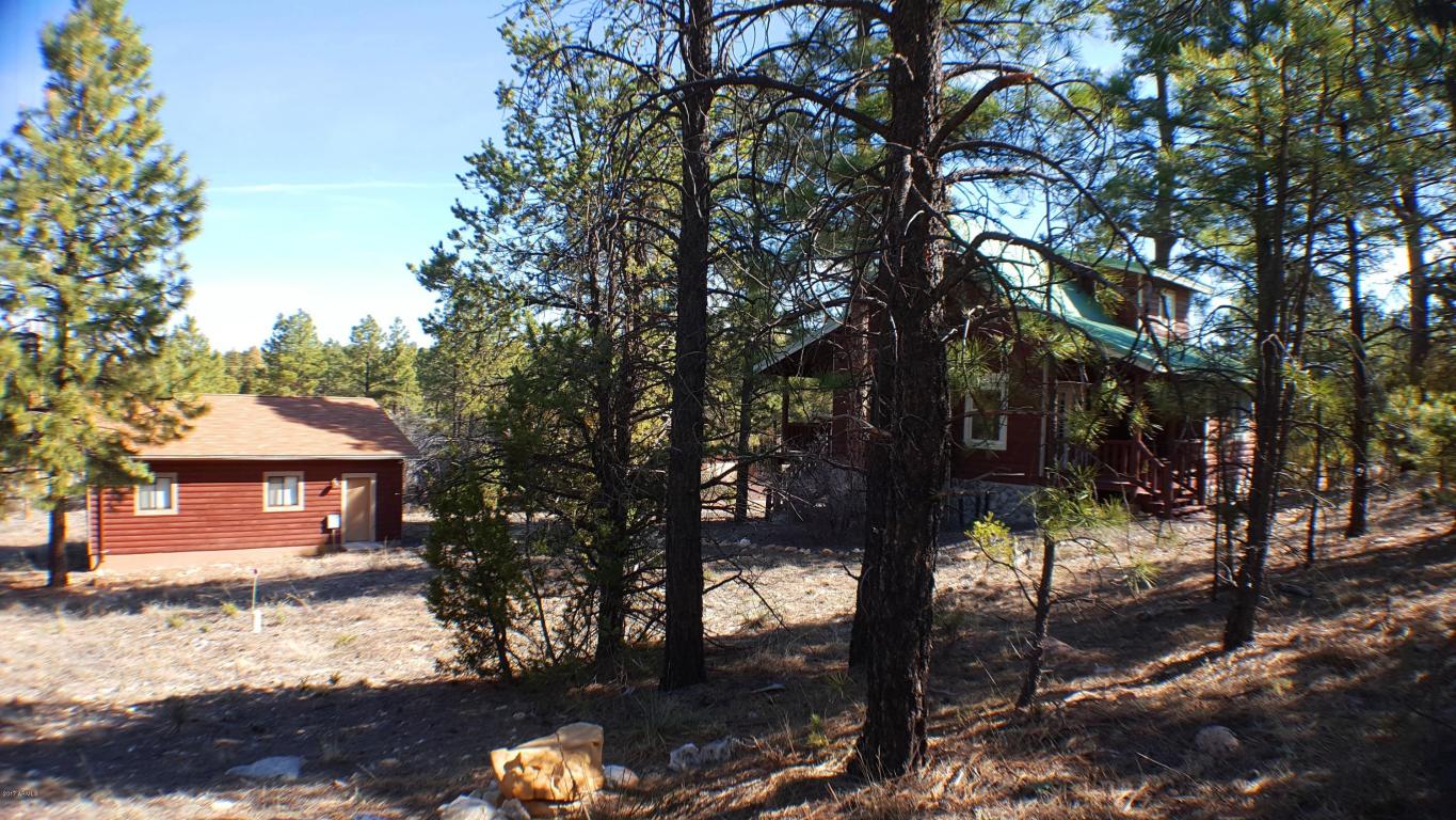 1901 Pine Dr, Overgaard, AZ 85933 photo 37