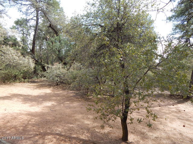 301 E Zurich Dr, Payson, AZ 85541 photo 5