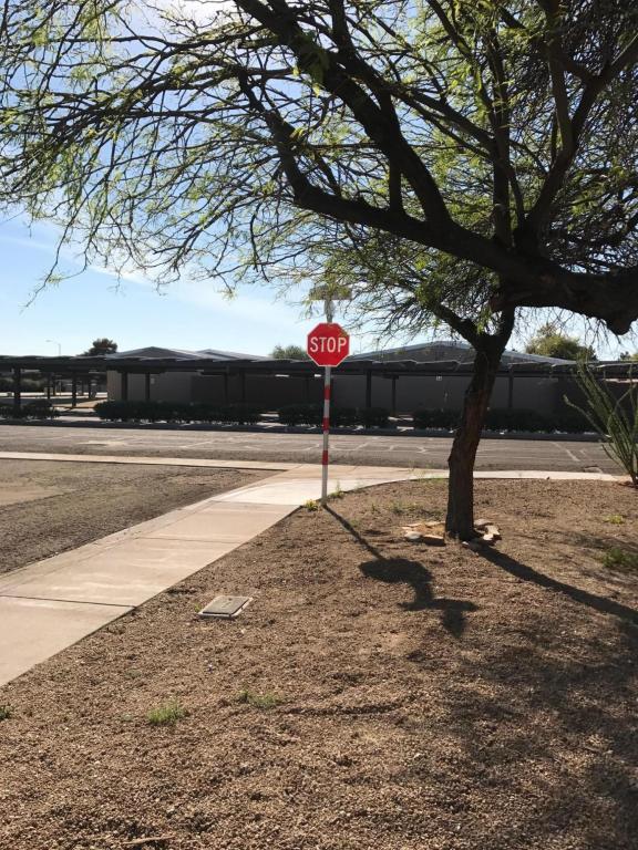 2902 E Libby St, Phoenix, AZ 85032 photo 20