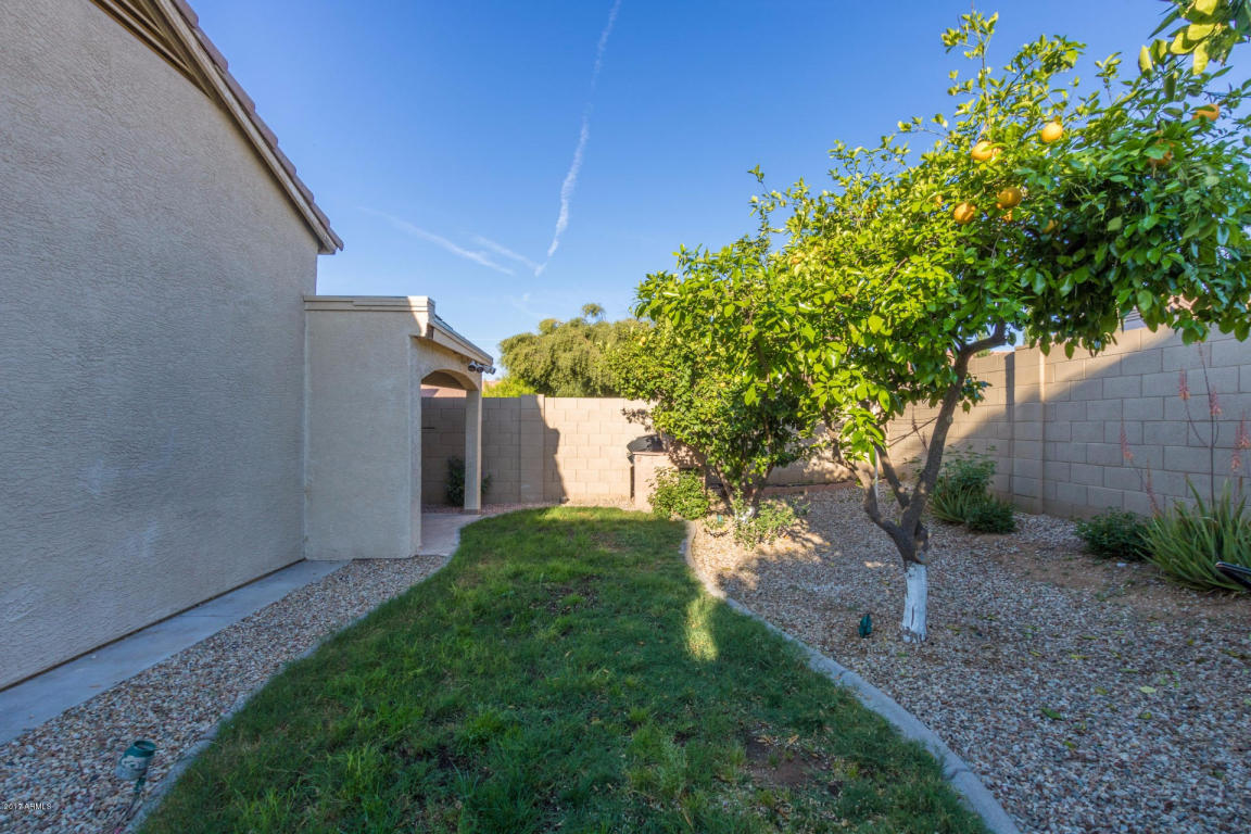 2020 E Bluefield Ave, Phoenix, AZ 85022 photo 22