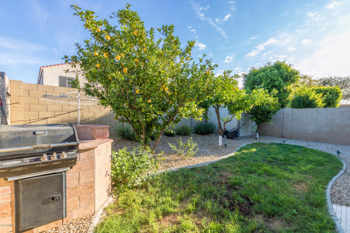 2020 E Bluefield Ave, Phoenix, AZ 85022 photo 23
