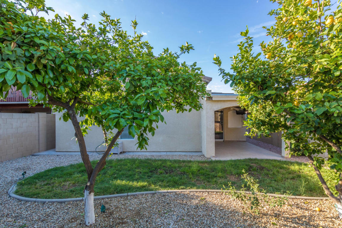 2020 E Bluefield Ave, Phoenix, AZ 85022 photo 21