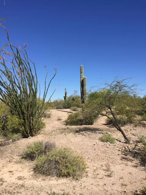 7914 E Oasis St #-, Mesa, AZ 85207 photo 6