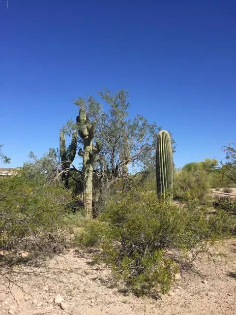 7914 E Oasis St #-, Mesa, AZ 85207 photo 3