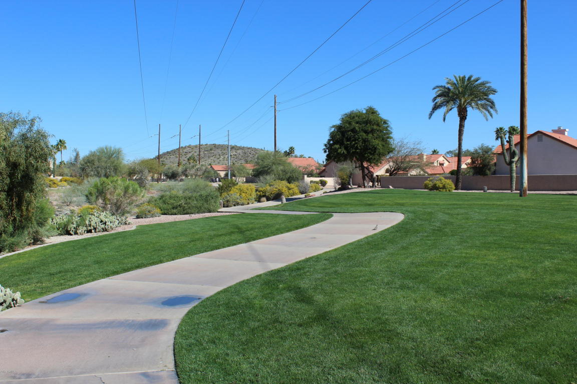 4342 E Rocky Slope Dr, Phoenix, AZ 85044 photo 21