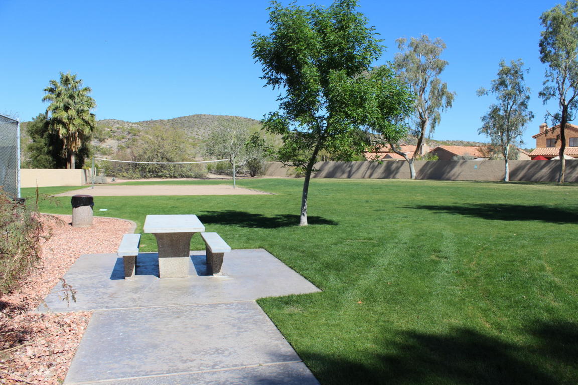 4342 E Rocky Slope Dr, Phoenix, AZ 85044 photo 25