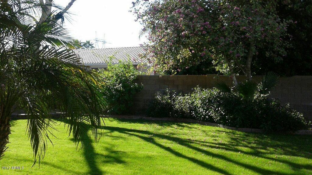 1859 E Campbell Ave, Gilbert, AZ 85234 photo 41