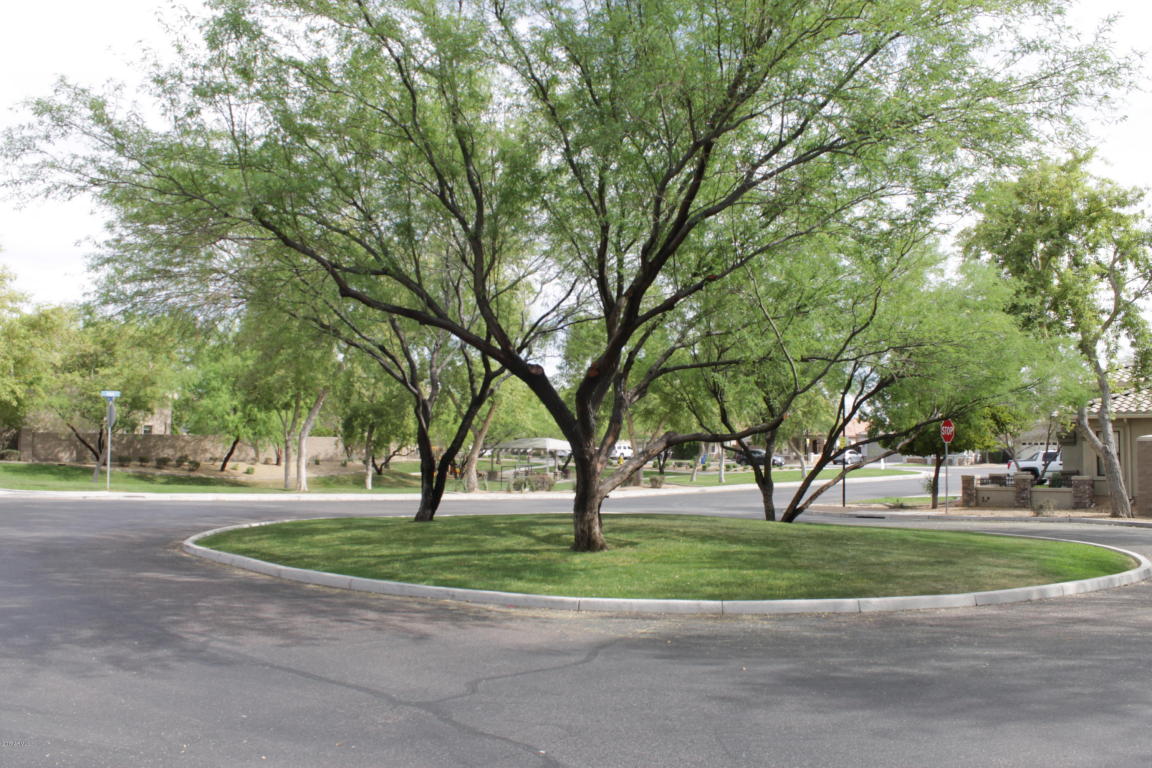 5228 E Carol Ave, Mesa, AZ 85206 photo 43