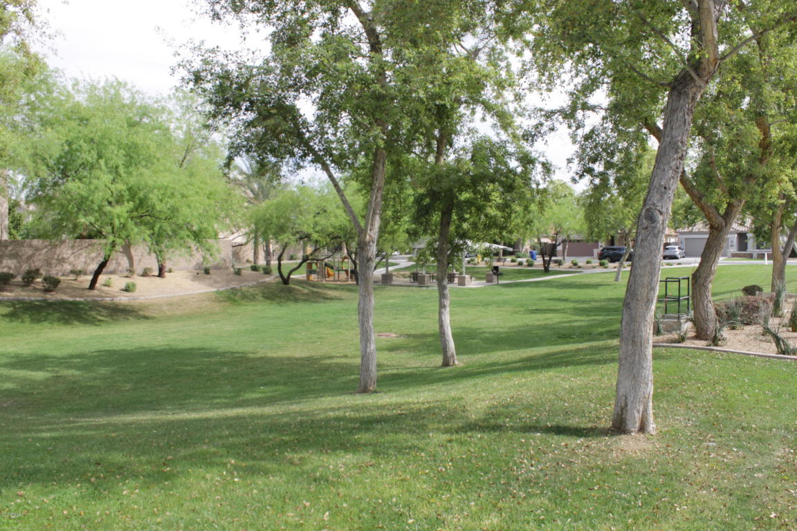 5228 E Carol Ave, Mesa, AZ 85206 photo 41