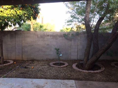 2702 E Corrine Dr, Phoenix, AZ 85032 photo 24