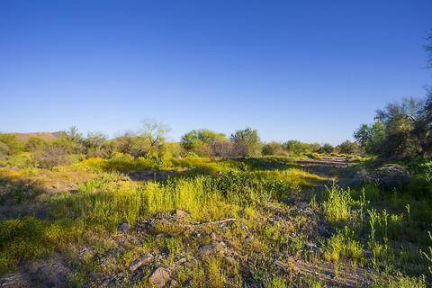 42505 N 9th Ave, Phoenix, AZ 85086 photo 49