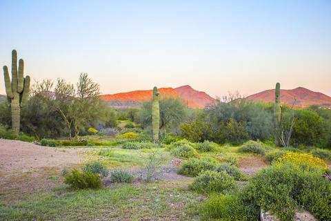42505 N 9th Ave, Phoenix, AZ 85086 photo 47