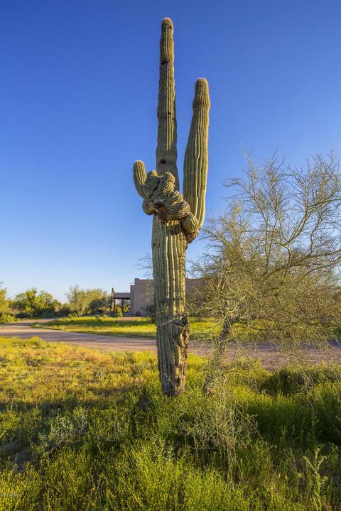 42505 N 9th Ave, Phoenix, AZ 85086 photo 48