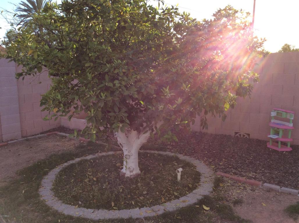 2115 E Aspen Ave, Mesa, AZ 85204 photo 13