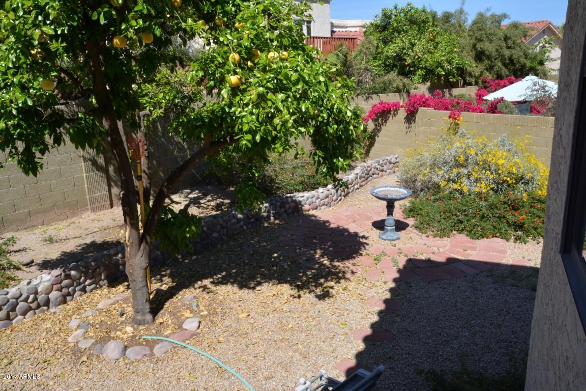 3834 E Tonto St, Phoenix, AZ 85044 photo 38