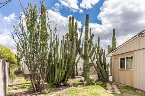 10116 E Akron St, Mesa, AZ 85207 photo 18