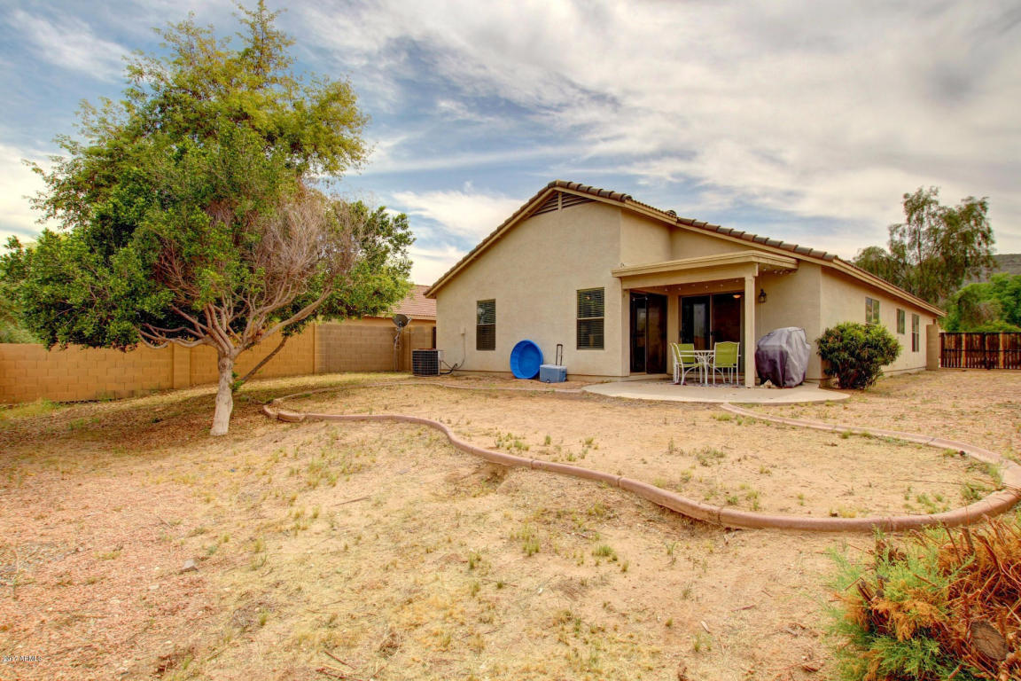 1006 E Beth Dr, Phoenix, AZ 85042 photo 29