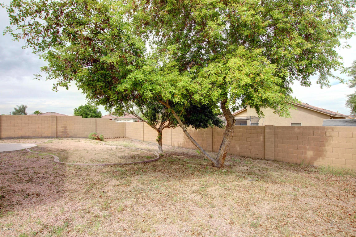 1006 E Beth Dr, Phoenix, AZ 85042 photo 31