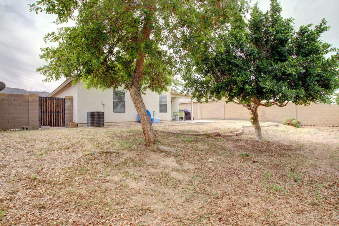 1006 E Beth Dr, Phoenix, AZ 85042 photo 30