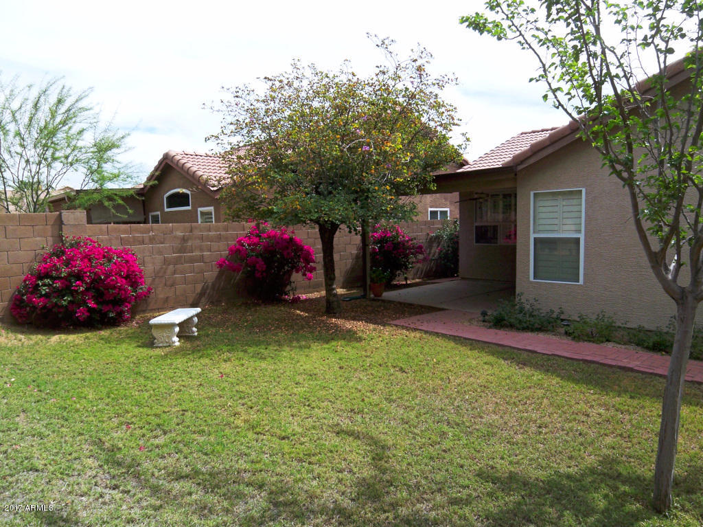 3238 E Sequoia Dr, Phoenix, AZ 85050 photo 16