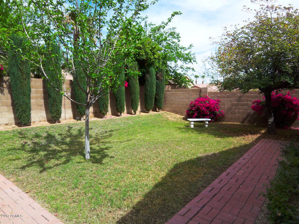 3238 E Sequoia Dr, Phoenix, AZ 85050 photo 15