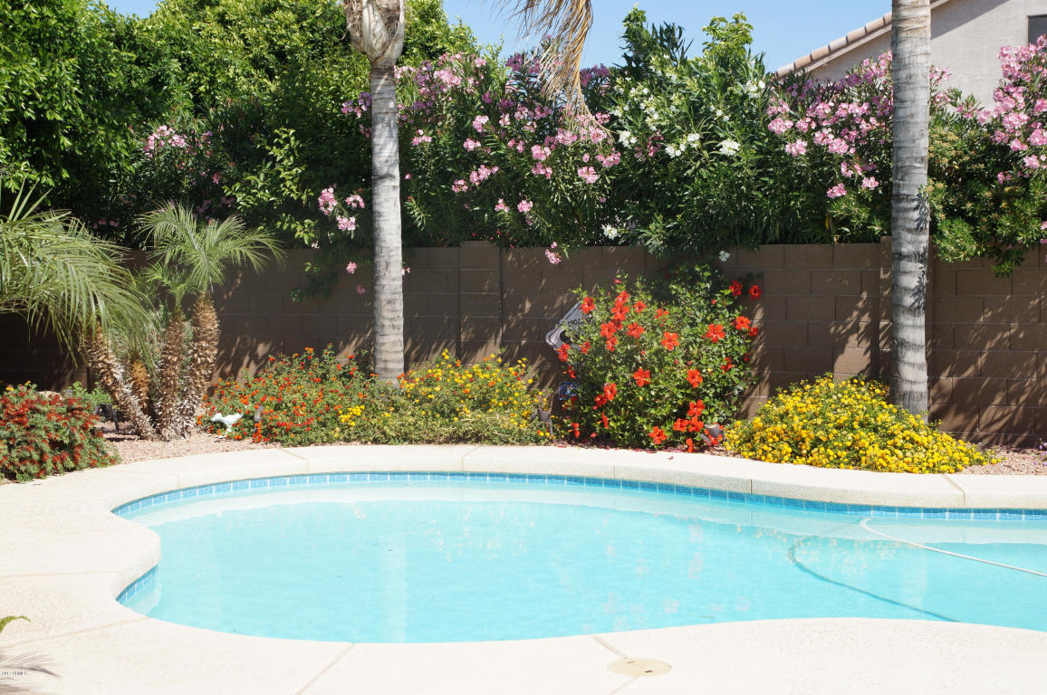 550 E Orchid Ln, Gilbert, AZ 85296 photo 22