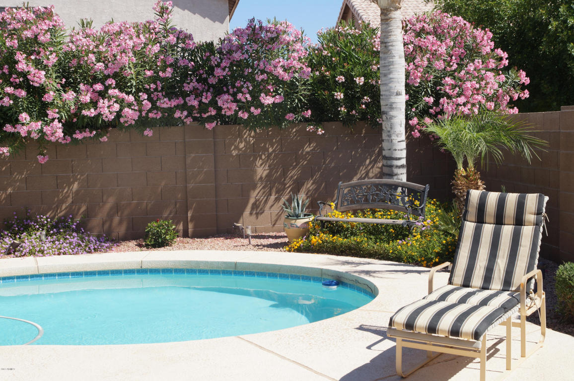 550 E Orchid Ln, Gilbert, AZ 85296 photo 23