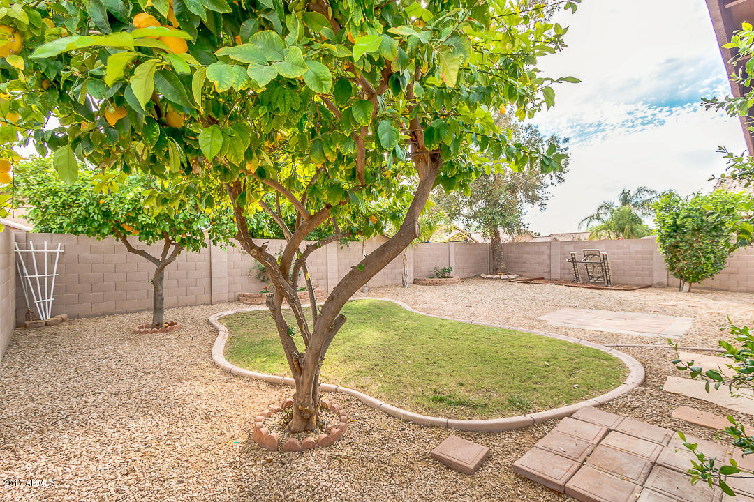 10639 Enid Ave, Mesa, AZ 85208 photo 32
