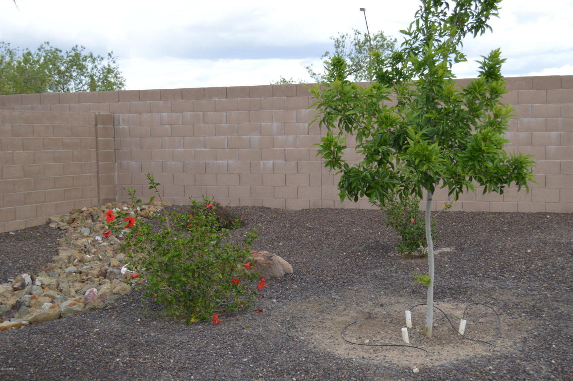 2540 Electra Ln, Phoenix, AZ 85024 photo 25