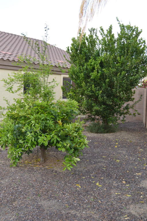2540 Electra Ln, Phoenix, AZ 85024 photo 26