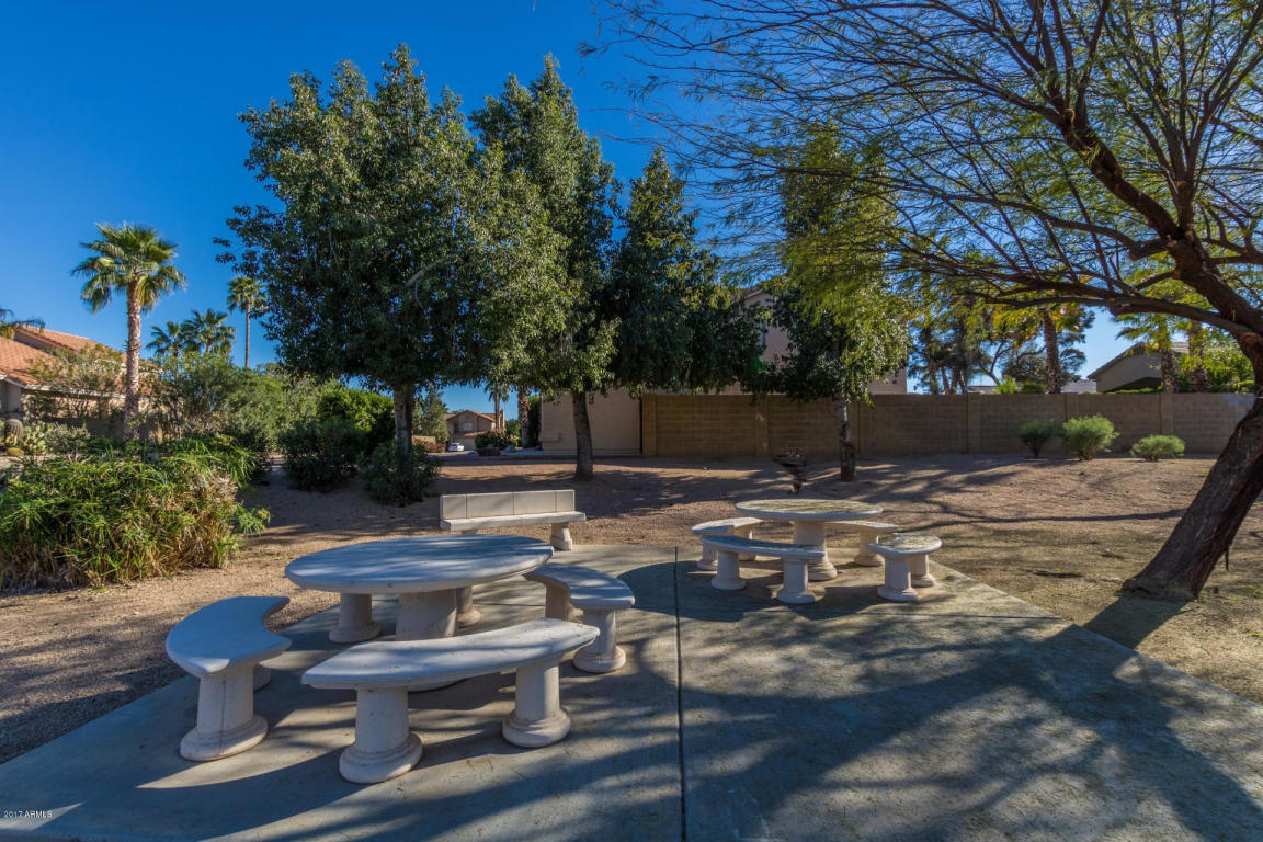 4746 E Villa Maria Dr, Phoenix, AZ 85032 photo 38