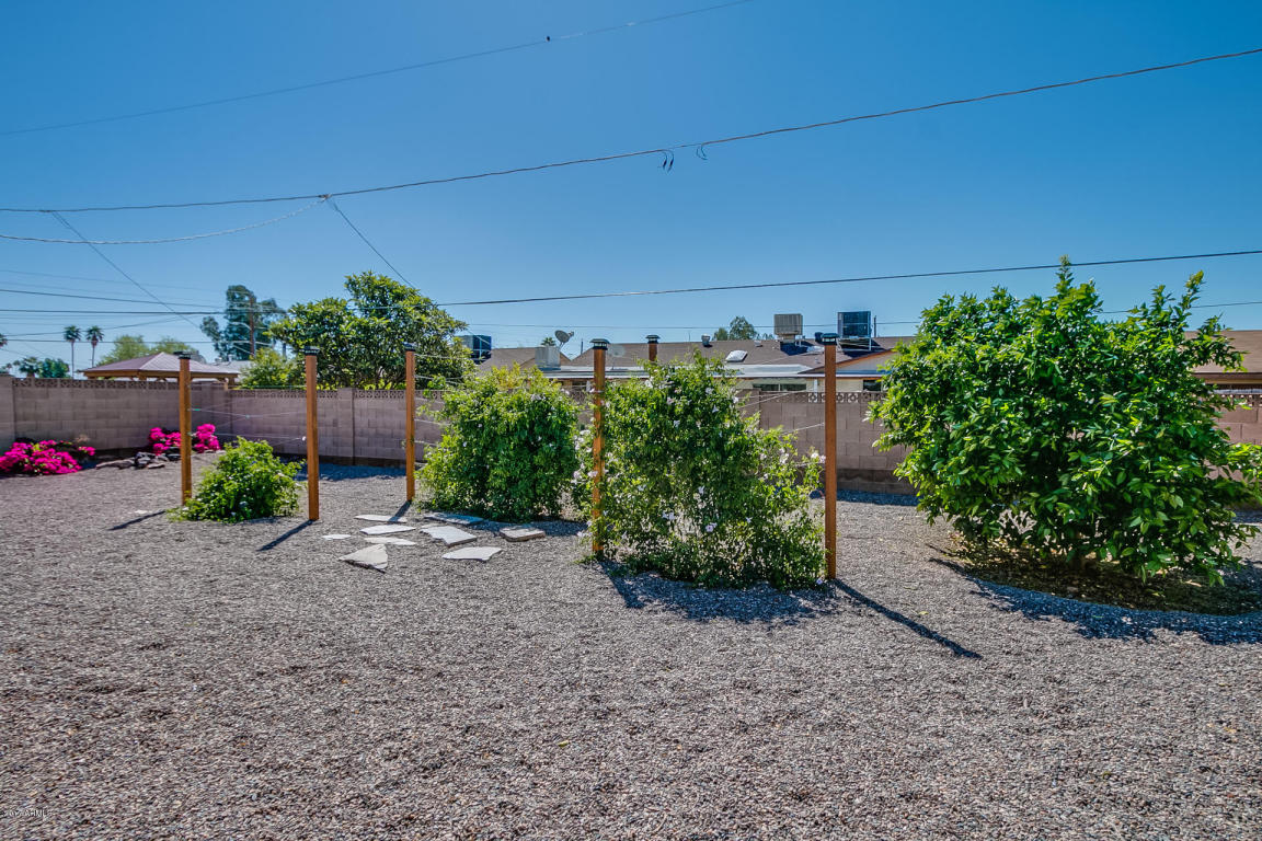 3521 E Voltaire Dr, Phoenix, AZ 85032 photo 32