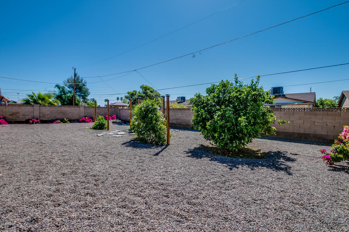 3521 E Voltaire Dr, Phoenix, AZ 85032 photo 28