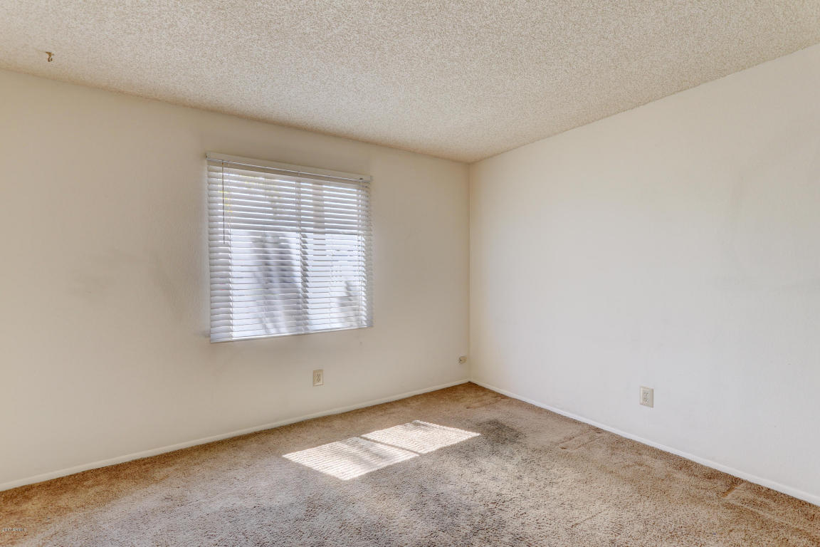 3560 E Gelding Dr, Phoenix, AZ 85032 photo 17