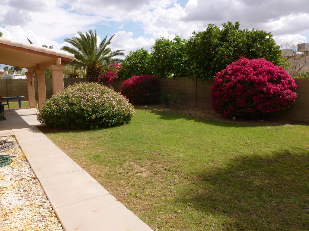 6531 E Fairfield St, Mesa, AZ 85205 photo 4