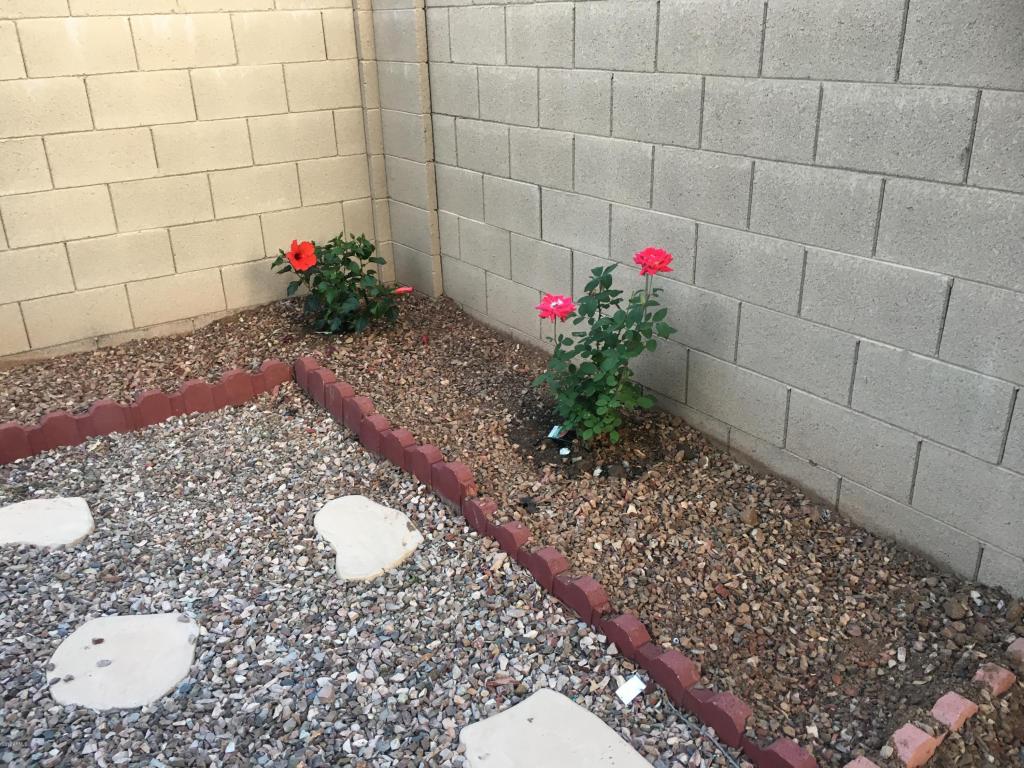 1045 E Julian Dr, Gilbert, AZ 85295 photo 38